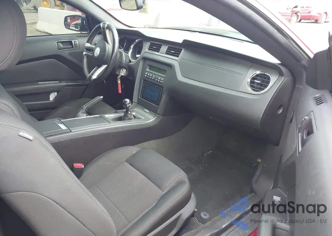 1ZVBP8AM0E5272947: 41981012