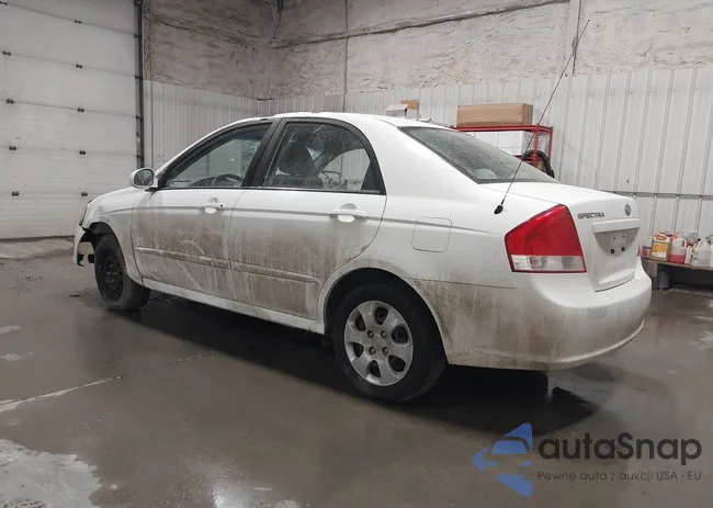 KNAFE121085566646: 41982332