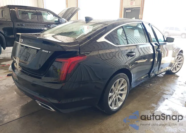 1G6DX5RK0N0135813: 41983083