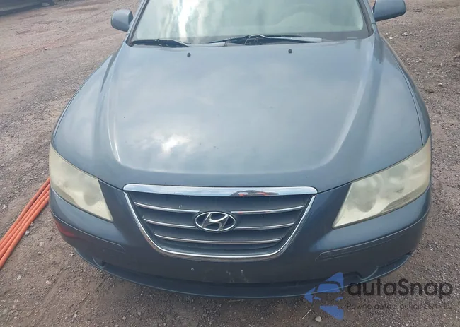 5NPET4AC8AH581264: 41982567