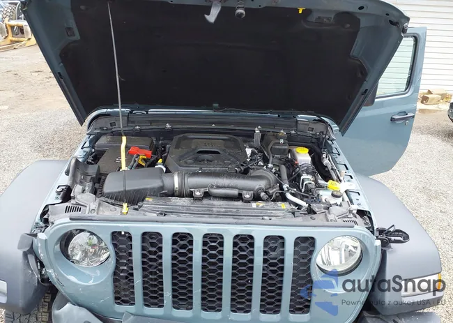 1C4PJXDN3RW124591: 41984208