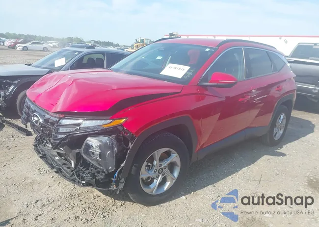 5NMJBCAE3NH039036: 41983848