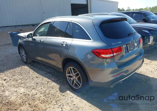 WDC0G4JB1HF124588: 41984893