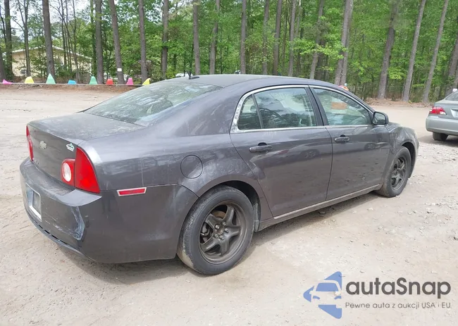 1G1ZC5EBXA4148052: 41985745