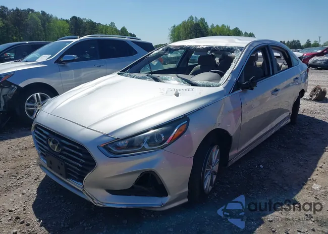 5NPE24AF7KH787478: 41989863