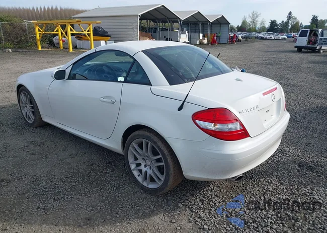 WDBWK54F68F189017: 41990622