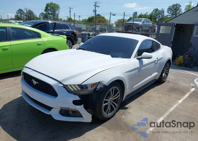 1FA6P8TH6G5264879: 41990676