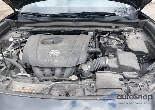 3MVDMBCL5MM205824: 41991942