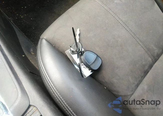 1G1ZJ577784264236: 41991817