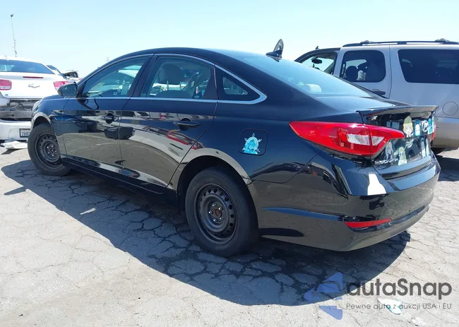 5NPE24AF2HH563074: 41993356