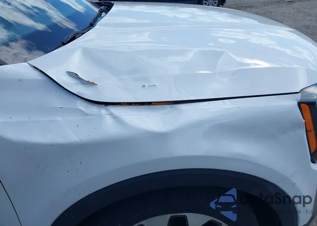 5XYP64HC4LG082784: 41993502