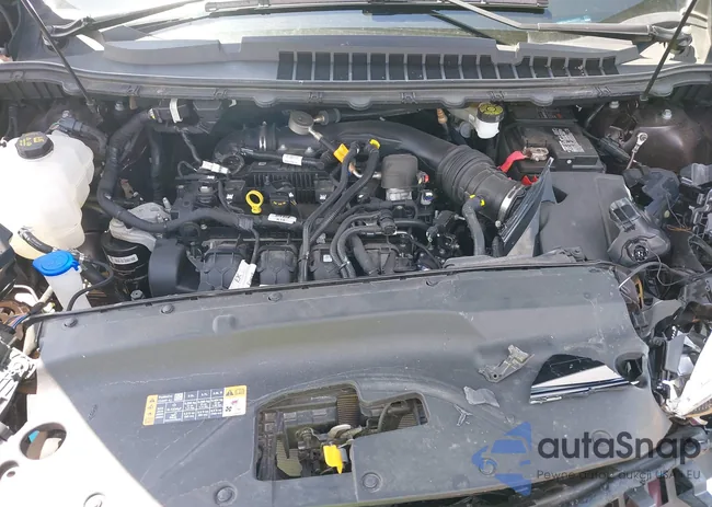 2FMPK4J94LBA85551: 41994442