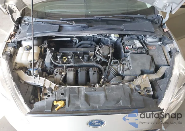 1FADP3F24FL343320: 41994901