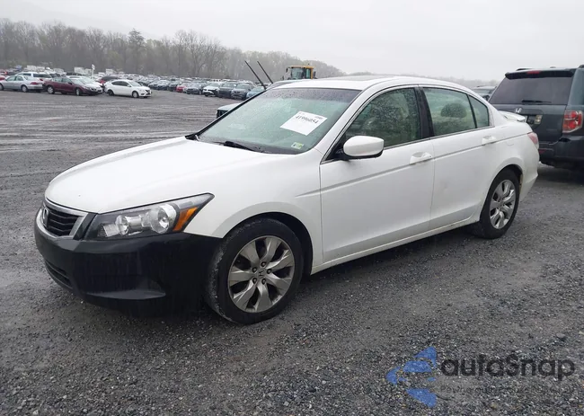 1HGCP26728A101086: 41996054