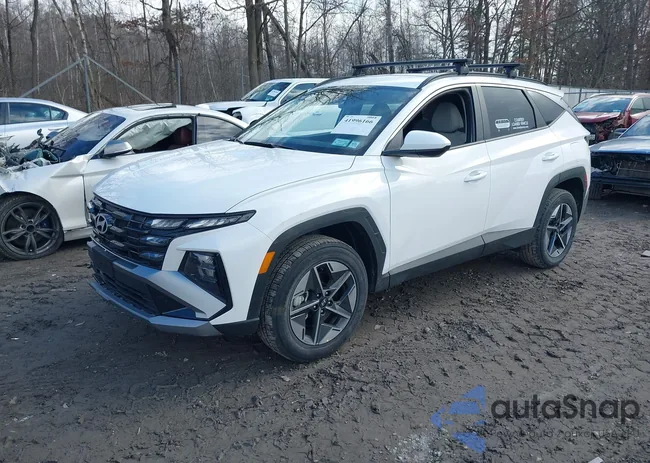 5NMJBCDEXSH471209: 41996166