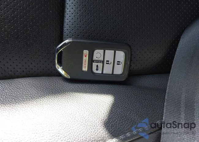 1HGCV1F48MA049169: 41995518