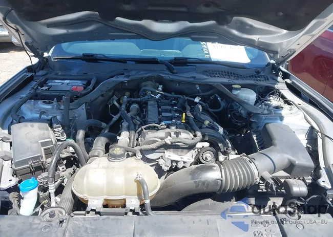 1FATP8UH4M5124553: 41995612