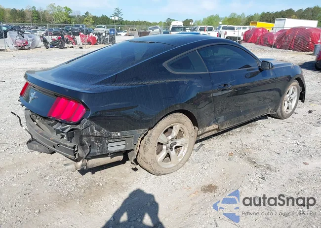 1FA6P8AM3H5240282: 41997965