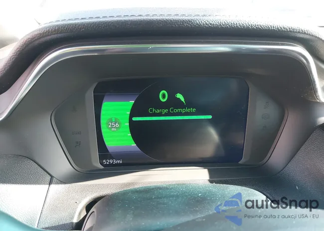 1G1FX6S05P4201698: 41999199