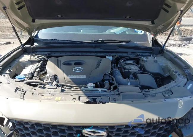 7MMVABDYXRN229669: 41999385