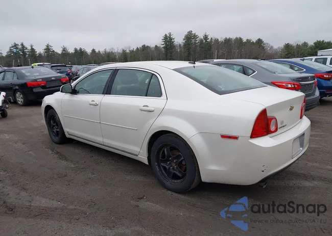 1G1ZD5EB0AF127003: 41999731