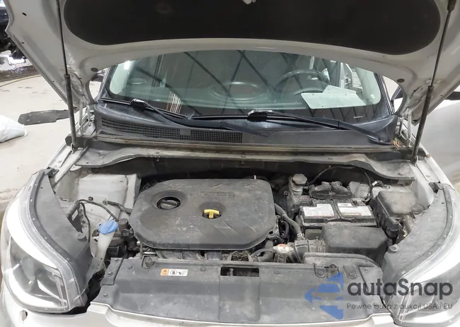 KNDJP3A57H7495408: 42002976