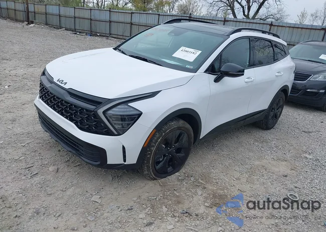 5XYK6CDF0SG281317: 42003182