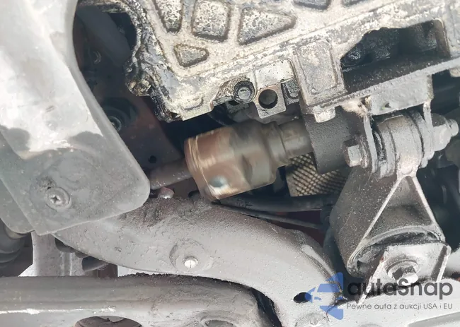 WMWRC33516TK65263: 42003520