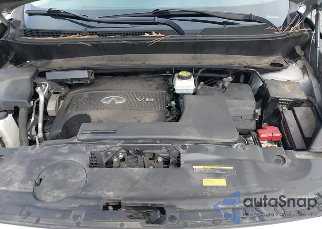 5N1AL0MMXEC531216: 42003851