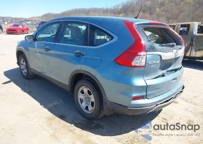 5J6RM4H31FL071713: 42005181