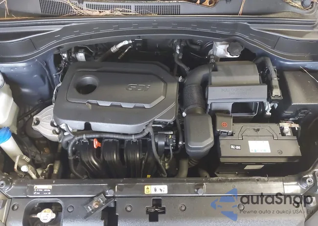 5XYZT3LB1HG499605: 42005925