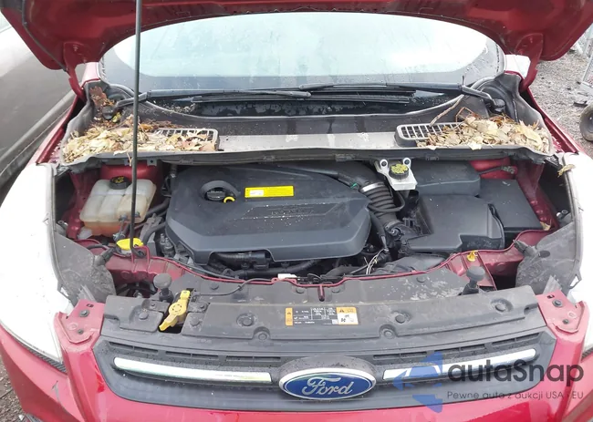 1FMCU0GX4GUA38415: 42006256