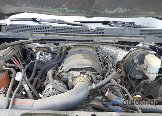 3GTU2WEJ8EG319018: 42005518