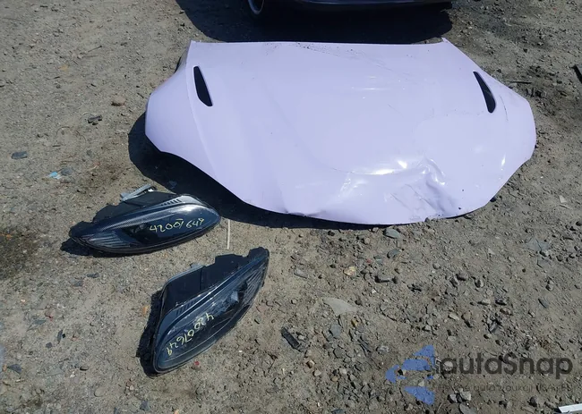 SCFSMGAWXPGN08553: 42007649