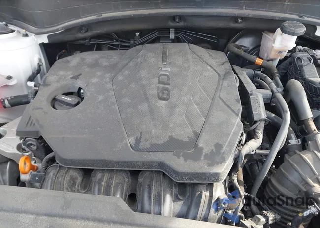 5XYK6CDF3RG148996: 42007702