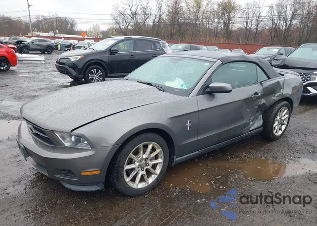 1ZVBP8EM0B5123573: 42009885