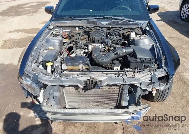 1ZVBP8AN6A5111957: 42009739