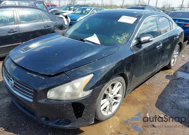 1N4AA51E79C854980: 42010897