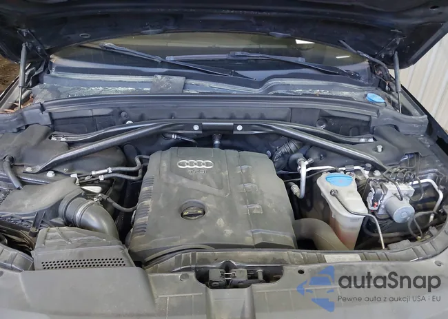 WA1L2AFP9HA038876: 42013846