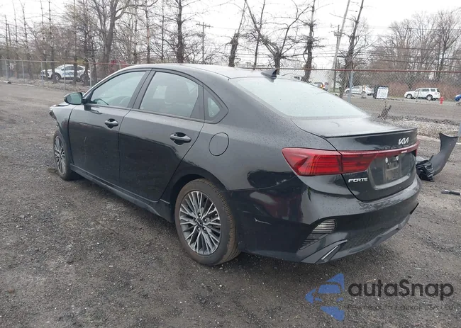 3KPF54AD2PE563847: 42015296