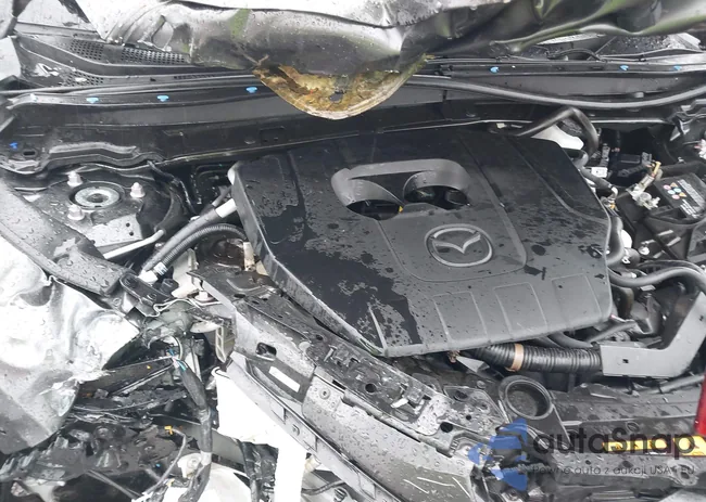 3MVDMBBMXRM690625: 42015867