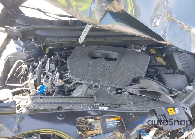 JM3KFBCM8S0605041: 42017766