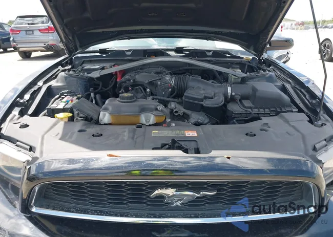 1ZVBP8AM2E5280287: 42018933