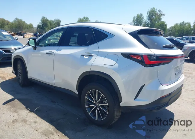 JTJGDCAZ6S5024713: 42020261