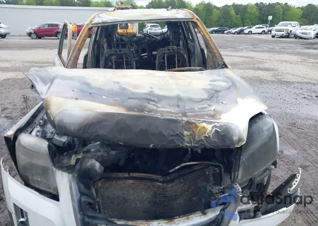 2CTALSECXB6256316: 42021063