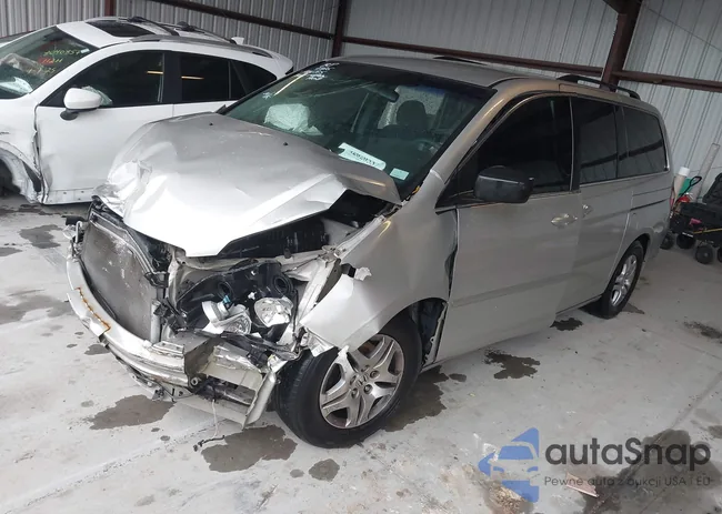 5FNRL384X7B451892: 42020537