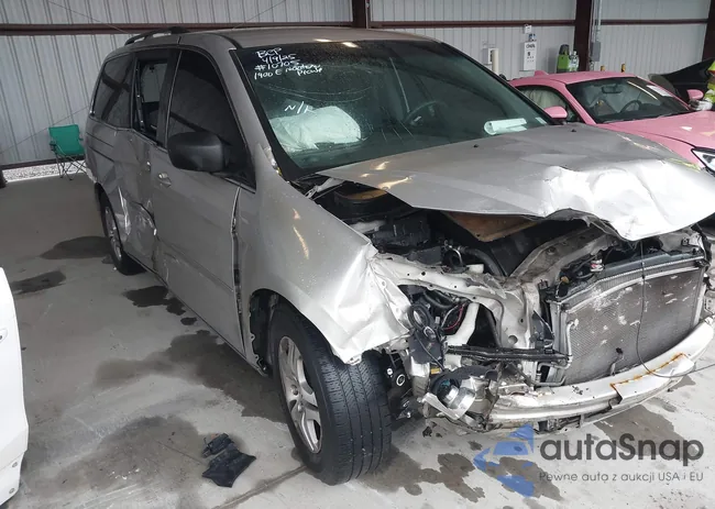 5FNRL384X7B451892: 42020537