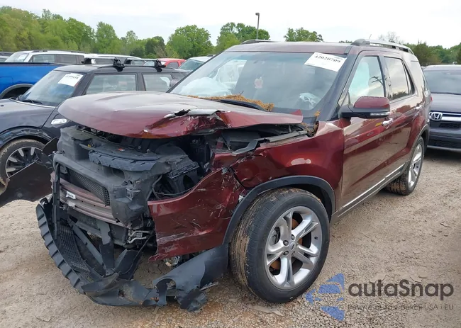 1FM5K7F90FGC11368: 42020709