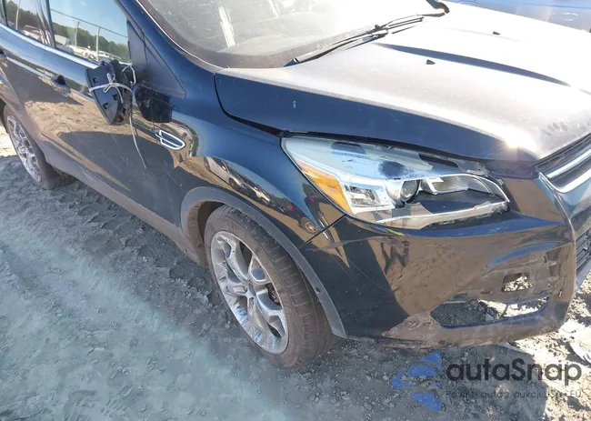 1FMCU0J95GUB51834: 42021995