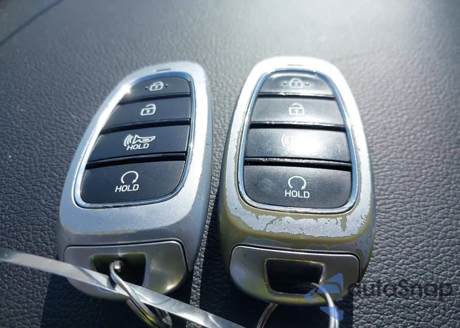 5NMS24AJ4MH353199: 42022237